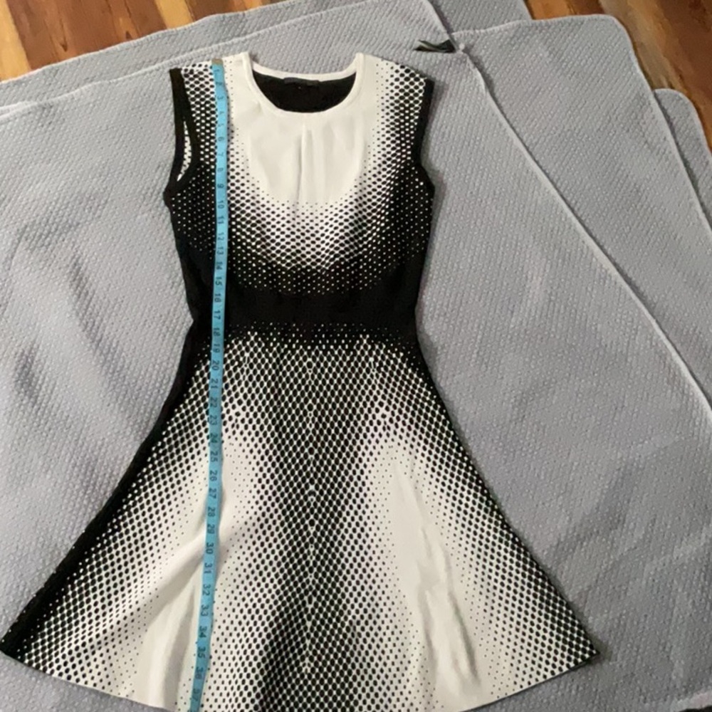 Black and White A-Line Mini Dress with Pleated Ribbed Texture